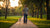 How Much Exercise Should My Dog Get Per Day? A Comprehensive Guide for Dog Owners