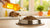 How Much Fish Oil to Add to Dog Food: The Ultimate Guide for Pet Parents-140857999599