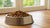 How Much Food a Day Should I Feed My Dog? A Comprehensive Guide