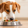 How Much Food Are Dogs Supposed to Eat? An In-Depth Guide to Proper Dog Nutrition