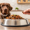 How Much Food Do You Feed Your Dog? A Comprehensive Guide to Healthy Feeding