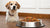 How Much Food Does a 30 Pound Dog Need?-140856164591