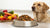 How Much Food Does a 35 Pound Dog Need? A Comprehensive Feeding Guide-140856459503