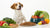 How Much Food Does a 40 Pound Dog Need for Optimal Health?-140549685487