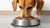 How Much Food Does a 45 lb Dog Need? A Comprehensive Guide for Pet Owners-140856918255