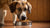 How Much Food Does a Large Dog Need: A Comprehensive Guide for Pet Parents