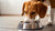 How Much Food Does My Dog Need? A Comprehensive Guide for Pet Owners