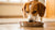 How Much Food Does My Dog Need Per Day? A Comprehensive Guide to Feeding Your Furry Friend-140551979247