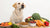 How Much Food for a 100 lb Dog: Understanding Your Pet's Nutritional Needs-140856230127