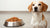 How Much Food for a 13 lb Dog: A Comprehensive Feeding Guide-140855116015