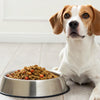 How Much Food for a 14 lb Dog: A Comprehensive Feeding Guide