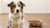 How Much Food for a 15 lb Dog: A Comprehensive Guide to Feeding Your Furry Friend