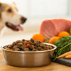 How Much Food for a 15 lb Dog: A Comprehensive Guide to Pet Nutrition
