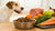 How Much Food for a 15 lb Dog: A Comprehensive Guide to Pet Nutrition-140550602991