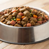 How Much Food for a 20 Pound Dog: Ensuring Optimal Nutrition