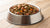 How Much Food for a 20 Pound Dog: Ensuring Optimal Nutrition-140855541999