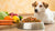 How Much Food for a 25 lb Dog: A Comprehensive Guide to Dog Nutrition