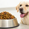 How Much Food for a 45 Pound Dog: A Comprehensive Feeding Guide