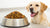 How Much Food for a 45 Pound Dog: A Comprehensive Feeding Guide-140545884399