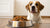 How Much Food for a 50 Pound Dog: A Comprehensive Guide to Feeding Your Canine Companion-140854788335