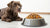 How Much Food for a 60 lb Dog: A Comprehensive Feeding Guide