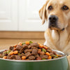 How Much Food for a 65 lb Dog: A Complete Guide for Pet Owners