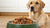 How Much Food for a 65 lb Dog: A Complete Guide for Pet Owners