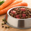 How Much Food for a 70 lb Dog: A Comprehensive Guide for Pet Parents