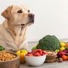 How Much Food for an 80 lb Dog: A Comprehensive Guide