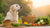 How Much Food for an 80 Pound Dog: A Comprehensive Guide-140658835695