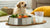 How Much Food for My Dog: A Comprehensive Guide to Fido's Feeding Needs