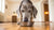 How Much Food for Senior Dog: A Comprehensive Guide to Nourishing Your Aging Canine Companion