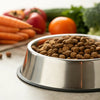 How Much Food Per Day for a Dog: Your Comprehensive Guide