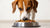 How Much Food Should a 20 lb Dog Eat? A Comprehensive Guide for Pet Owners-140857508079