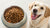 How Much Food Should a 32 Pound Dog Eat? A Comprehensive Guide for Pet Parents-140301238511