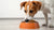 How Much Food Should a 35 Pound Dog Eat? A Comprehensive Guide