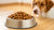 How Much Food Should a 4lb Dog Eat? A Comprehensive Guide for Pet Owners-140296945903