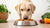 How Much Food Should a 50 lb Dog Eat Daily? A Comprehensive Guide for Loving Pet Owners-140295995631