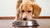 How Much Food Should a 50lb Dog Eat a Day? A Comprehensive Guide for Pet Parents-140406391023
