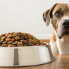 How Much Food Should a 60 lb Dog Eat Per Day? A Comprehensive Guide
