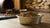 How Much Food Should a 65 Pound Dog Eat: A Comprehensive Guide