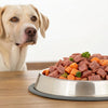 How Much Food Should a 65 Pound Dog Eat Daily?