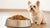 How Much Food Should a 6lb Dog Eat? Critical Guidelines for Optimal Nutrition-140299993327