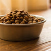 How Much Food Should a 7 Lb Dog Eat?