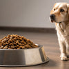 How Much Food Should a 7lb Dog Eat?