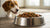 How Much Food Should a 95 lb Dog Eat? A Comprehensive Guide to Canine Nutrition