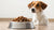How Much Food Should a 9kg Dog Eat? A Comprehensive Guide for Pet Owners