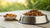 How Much Food Should a Dog Eat Based on Weight?
