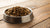 How Much Food Should a Dog Eat in One Day? A Comprehensive Feeding Guide
