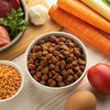 How Much Food Should a Dog Have a Day? A Comprehensive Guide for Pet Owners